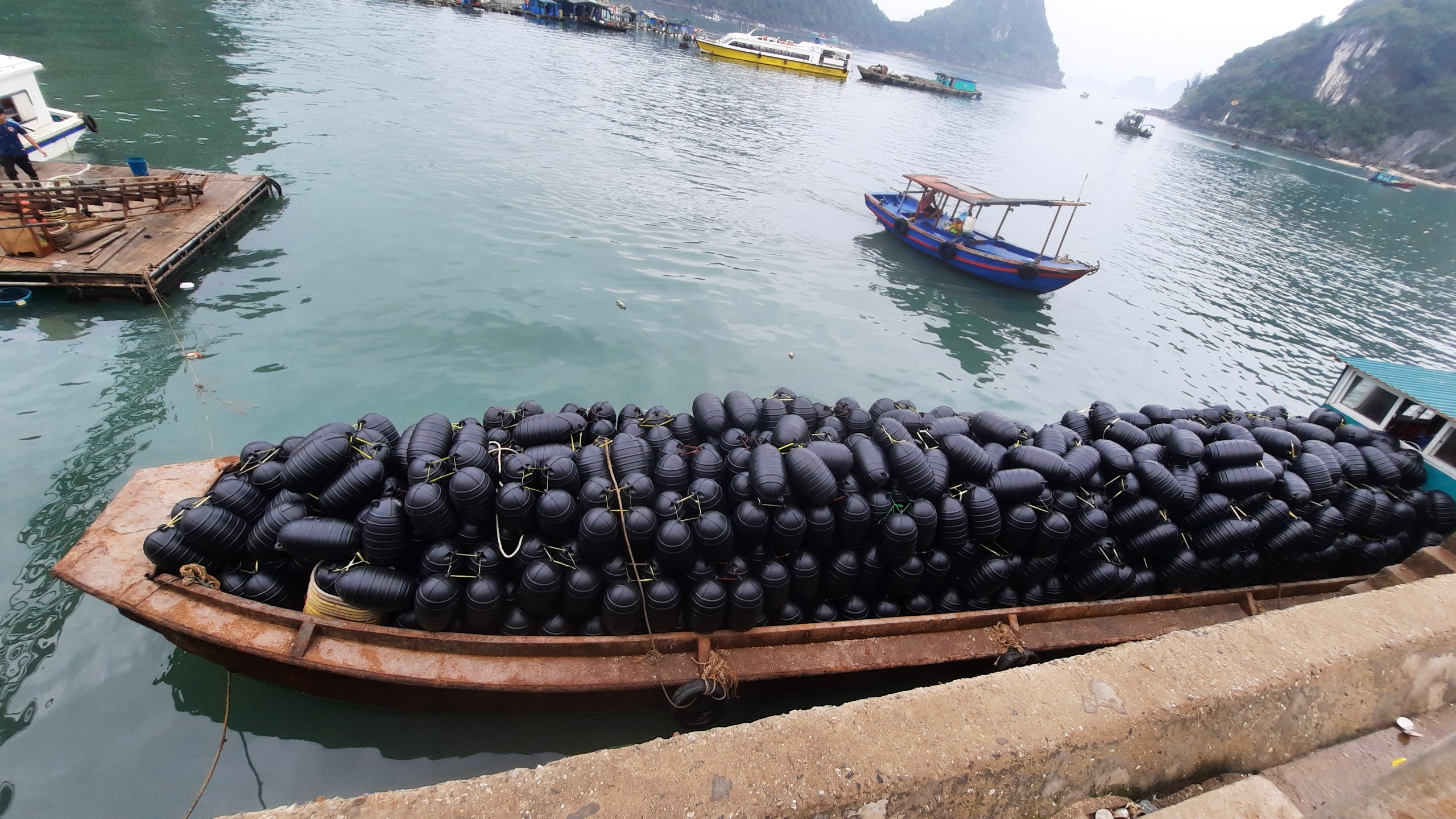 Dự án lắp đặt bè nuôi hàu 